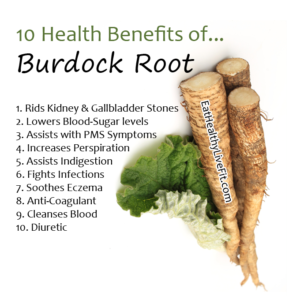 Image result for burdock root benefits