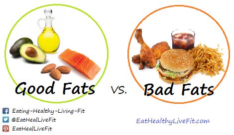 Fat Vs Bad 113