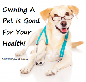 Pet Health