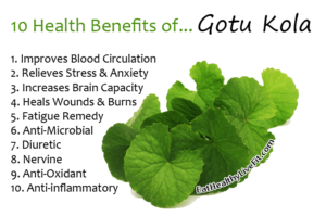 Gotu Kola - EatHealthyLiveFit.com