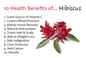 Hibiscus - EatHealthyLiveFit.com