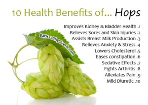 Hops - EatHealthyLiveFit.com