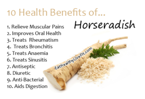 Horseradish - EatHealthyLiveFit.com