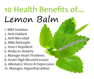 Lemon Balm-EatHealthyLiveFit.com